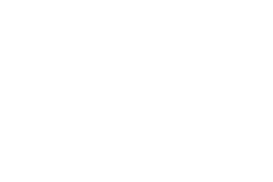 DD logo